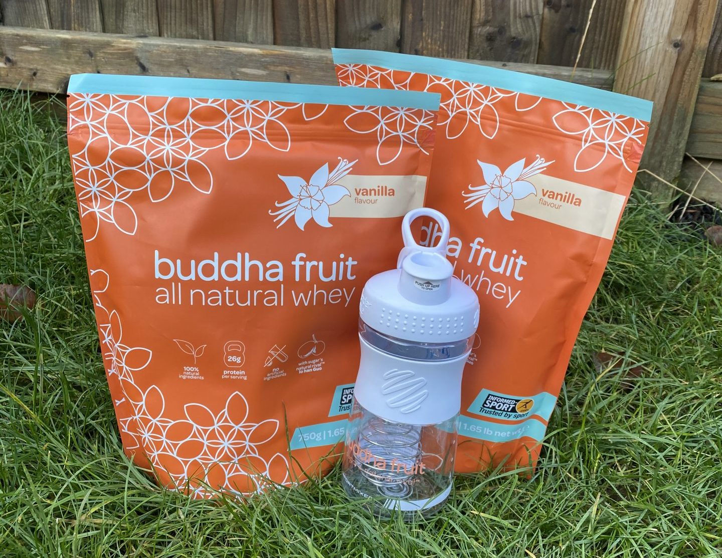 Buddha Fruit Sugar-Free Protein Powder Review