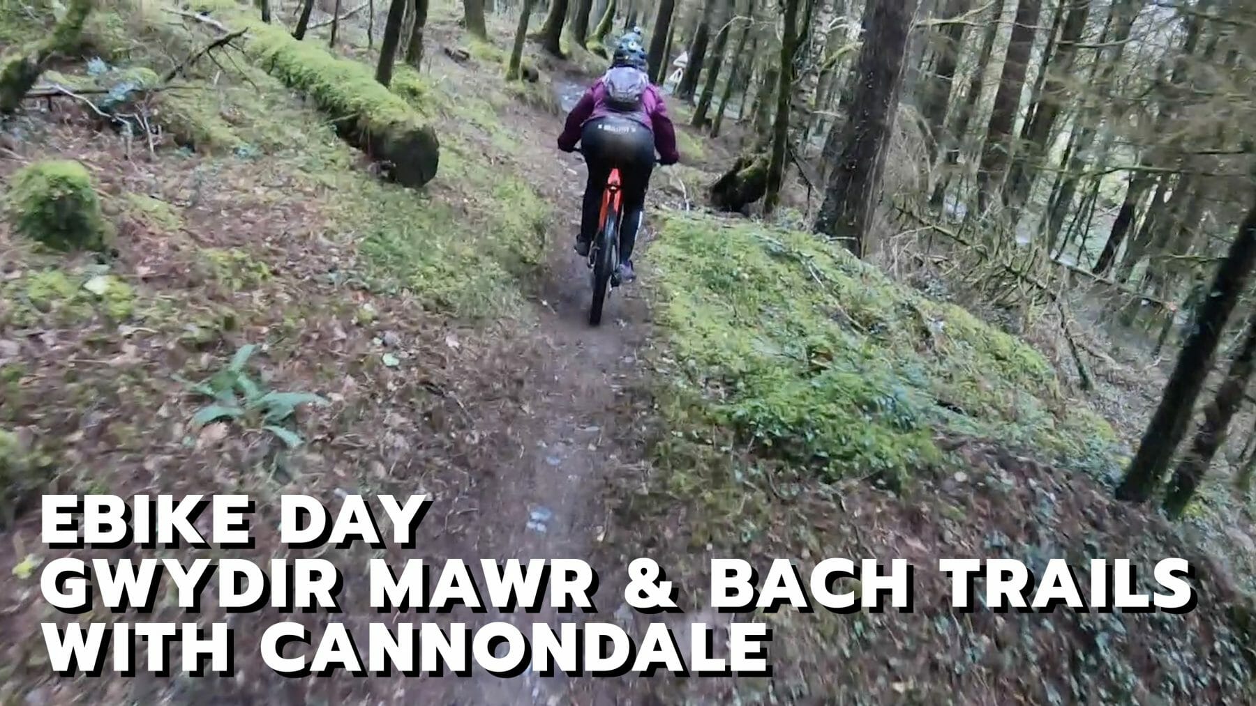 Ebiking Gwydir Mawr & Bach Trails (Formerly Marin Trail) with Cannondale