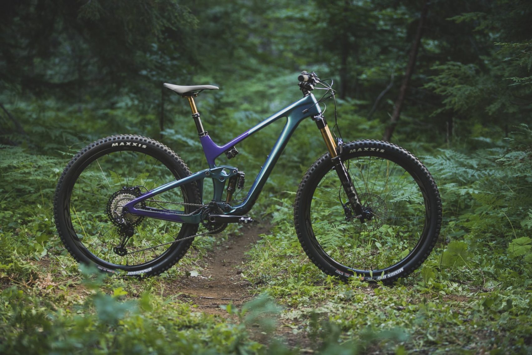 Giant trail 2024 a bike