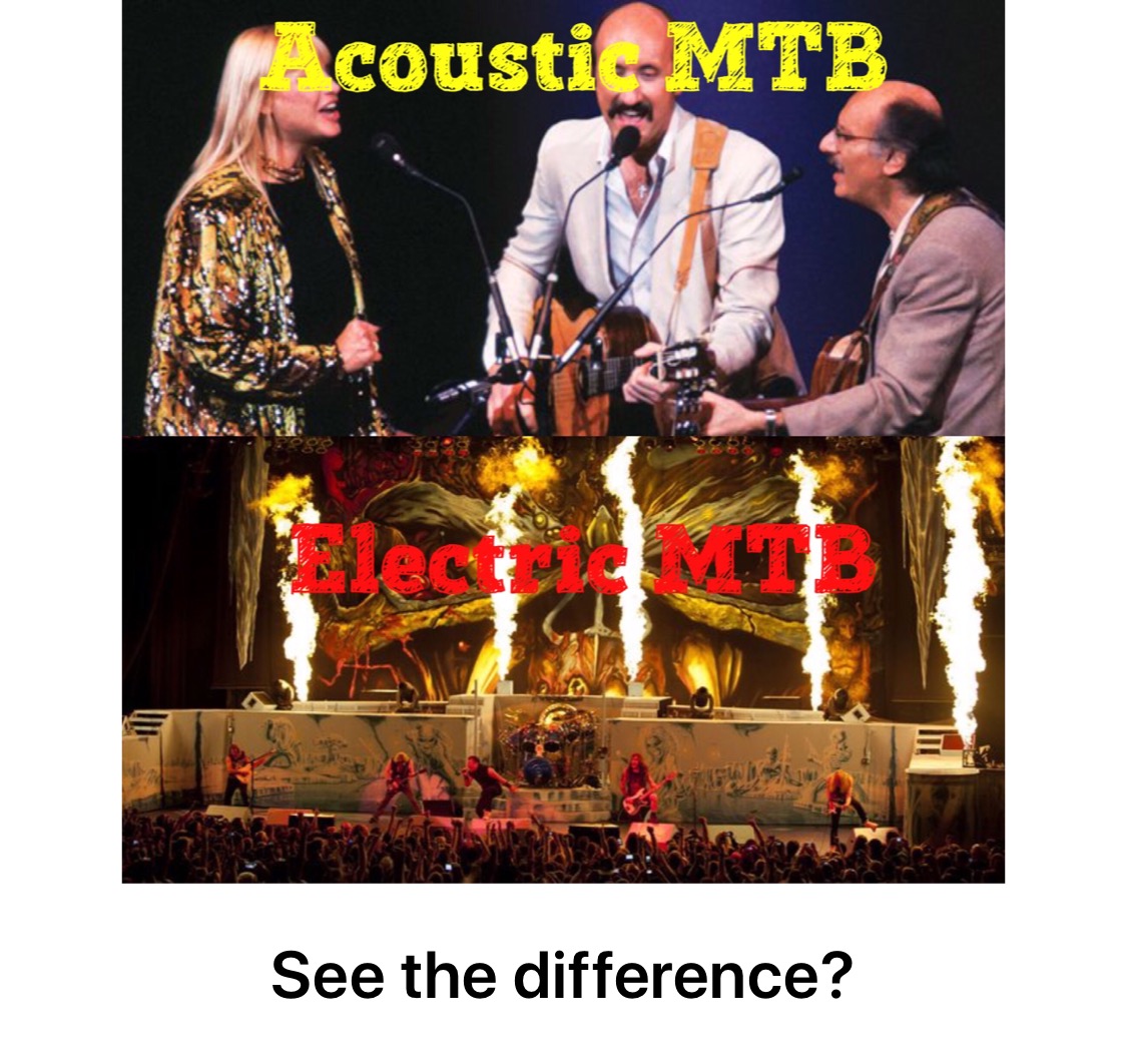Acoustic vs Electric - Best EMTB Memes