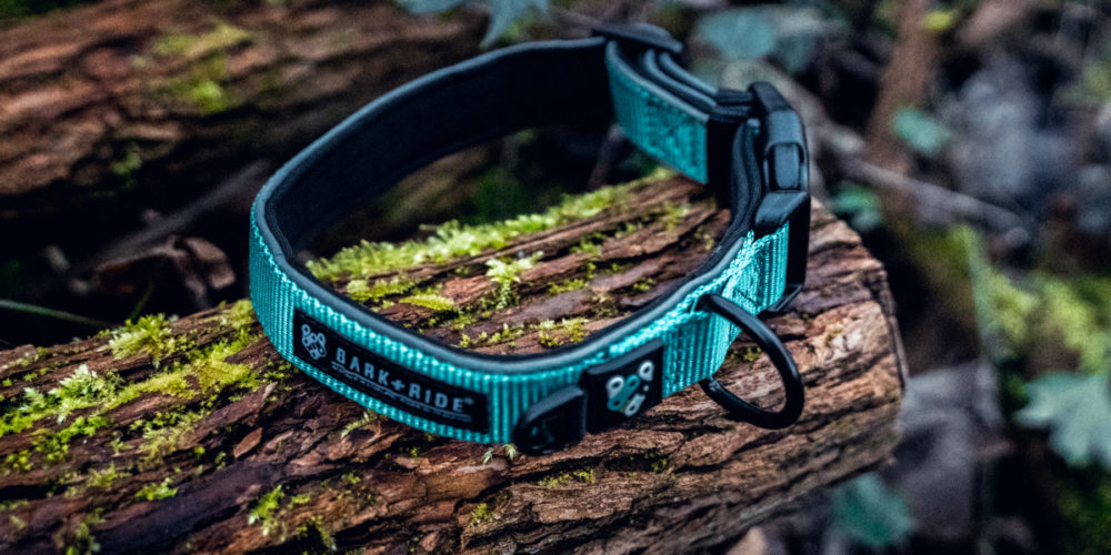 Bark + Ride Trail Collar - Tractive Tracker-8