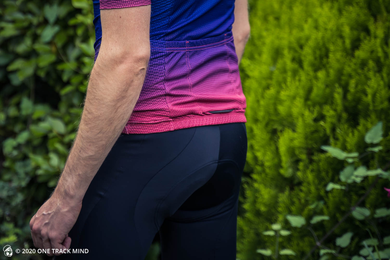 Giant Elevate Jersey and Bib Shorts Review
