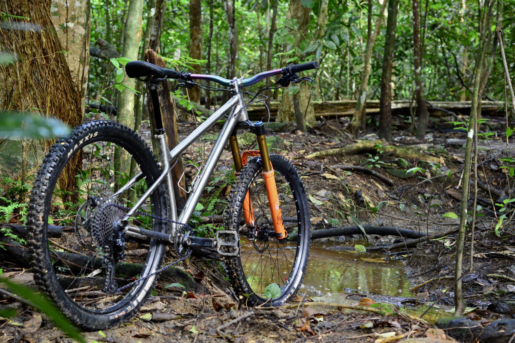 Berm Cycles Rexx Titanium hardcore hardtail - woods 4