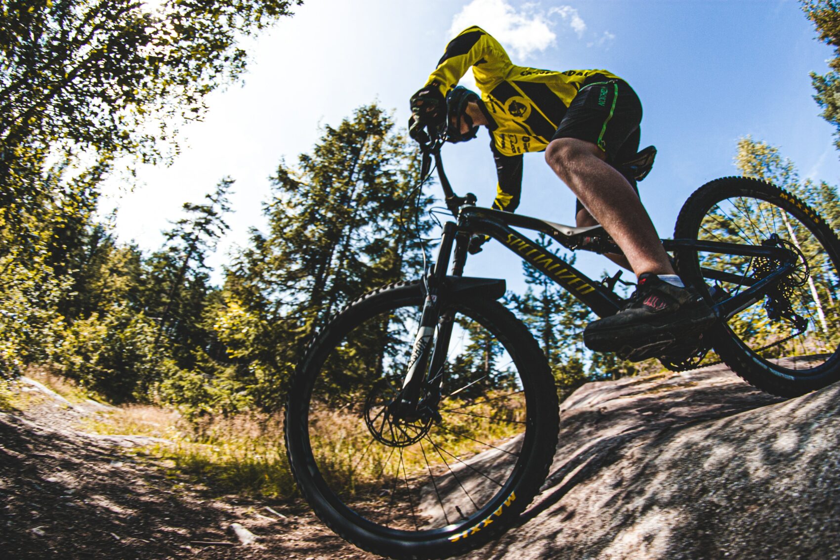 The different mountain bike disciplines